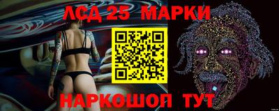 стаф Обнинск