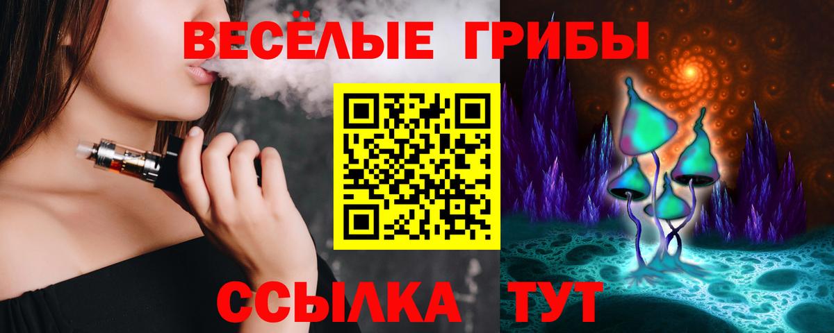 Сальск  Галлюциногенные грибы Psilocybe  Вход с VPN 